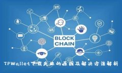 TPWallet下载失败的原因及解决方法解析
