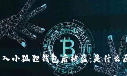 : TP钱包导入小狐狸钱包后被盗：是什么原因导致的?