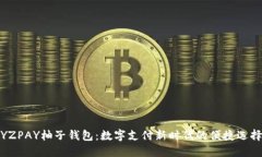 YZPAY柚子钱包：数字支付新