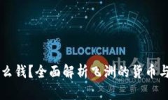 飞洲用什么钱？全面解析