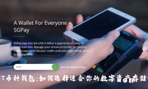 :
USDT币种钱包：如何选择适合你的数字资产存储方案