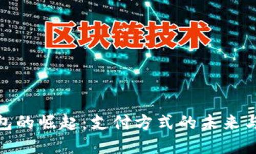 数字钱包的崛起：支付方式的未来与安全性