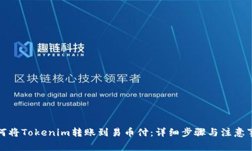 如何将Tokenim转账到易币付：详细步骤与注意事项